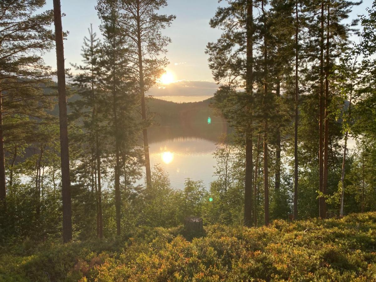 Koli Caravan Cottages ภายนอก รูปภาพ